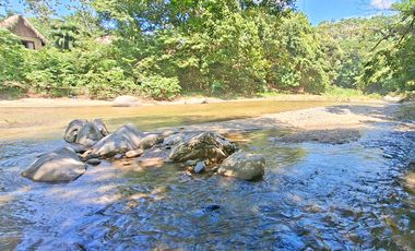 Hotel Ecolodge en Venta Cerca al Parque Tayrona, con Río, Santa Marta