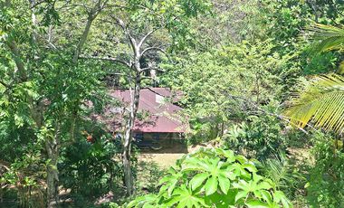 Hotel Ecolodge en Venta Cerca al Parque Tayrona, con Río, Santa Marta