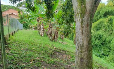 SE VENDE FINCA EN COMBIA,DOS  CASAS