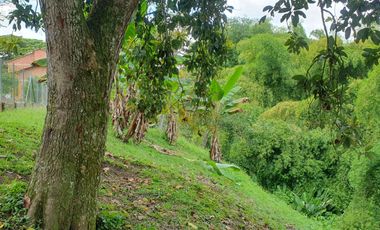 SE VENDE FINCA EN COMBIA,DOS  CASAS