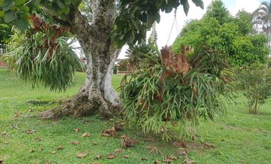 SE VENDE FINCA EN COMBIA,DOS  CASAS