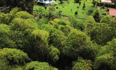 SE VENDE FINCA EN COMBIA,DOS  CASAS