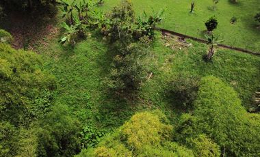 SE VENDE FINCA EN COMBIA,DOS  CASAS