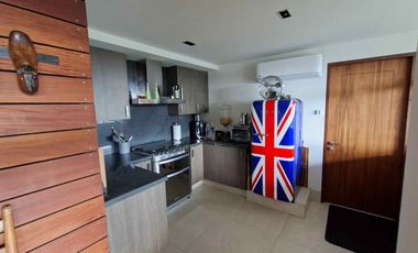 Jardines del Pedregal extraordinario PH