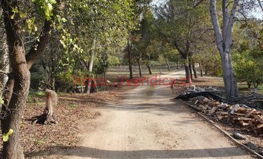 Verídica  VENDE parcela con 2 casas en Casablanca UF 6.800