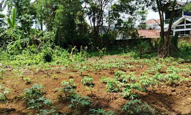 Disewakan Tanah Komersil di Jalan Baru Sholeh Iskandar Bogor