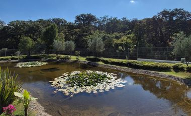Bonita casa en renta en EL ORIGEN, cerca de Galerías Santa Anita