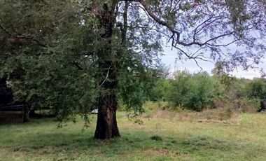 Amplia casa en arriendo a 5 minutos Vilarrica