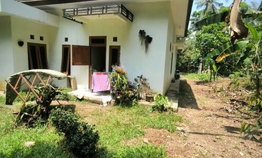 RUMAH SANGAT LUAS DAN MURAH DI KULON PROGO