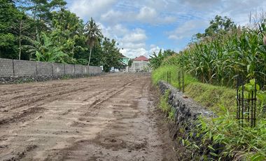 RUMAH MEWAH DEKAT KAMPUS UII Jl. KALIURANG DAN Jl. PALAGAN