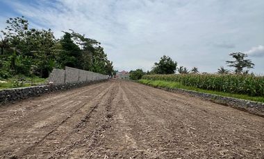 RUMAH MEWAH BARU SEKITAR Jl. PALAGAN 490jt - SWASANA RESIDENCE