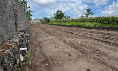 RUMAH MEWAH BARU SEKITAR Jl. PALAGAN 490jt - SWASANA RESIDENCE