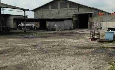 DIJUAL PABRIK MIE KERING di jalan poros Jombang-Mojokerto