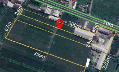 DIJUAL PABRIK MIE KERING di jalan poros Jombang-Mojokerto