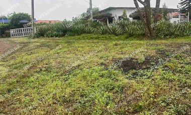 VENDO CASA DE CAMPO CERCA DEL MAR