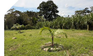 Terreno barato en Sucúa, Terrenos con excelente ubicación, Terreno en el Paraíso de la Amazonía, Propiedad de oferta