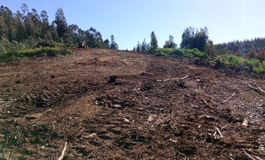 Terreno en venta Dichato