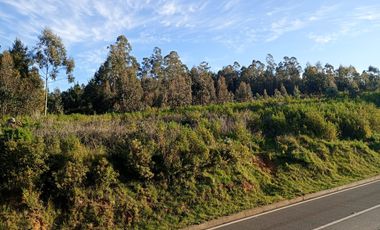 Terreno en venta Dichato