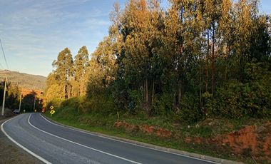 Terreno en venta Dichato