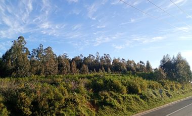 Terreno en venta Dichato