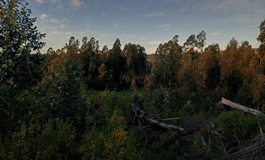 Terreno en venta Dichato