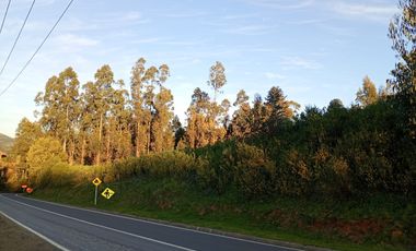 Terreno en venta Dichato