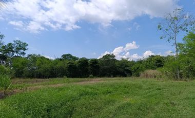 Vendo terreno de 2 ha ideal para casa de campo, cerca de Tarapoto.