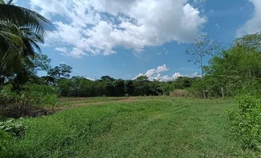 Vendo terreno de 2 ha ideal para casa de campo, cerca de Tarapoto.