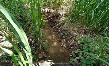 Vendo terreno de 2 ha ideal para casa de campo, cerca de Tarapoto.