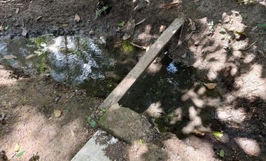 Vendo terreno de 2 ha ideal para casa de campo, cerca de Tarapoto.