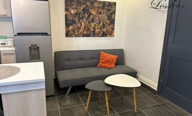 COMPLEJO DEPARTAMENTALTOTALMENTE EQUIPADO EN VENTA, LISTO PARA RENTAR, UBICADO EN CALLE BRASIL