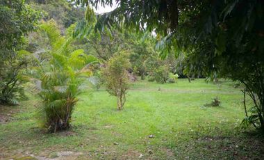 vendo 25.000 M2 Sub Urbano en Villavicencio