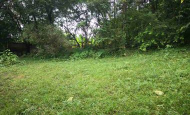 vendo 25.000 M2 Sub Urbano en Villavicencio