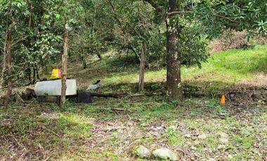 vendo 25.000 M2 Sub Urbano en Villavicencio