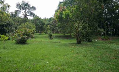 vendo 25.000 M2 Sub Urbano en Villavicencio