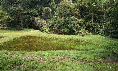 vendo 25.000 M2 Sub Urbano en Villavicencio