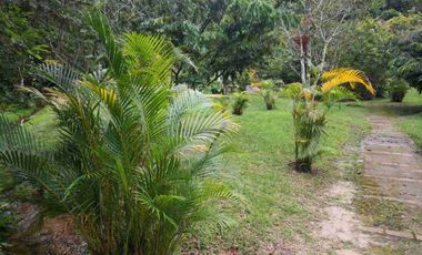 vendo 25.000 M2 Sub Urbano en Villavicencio