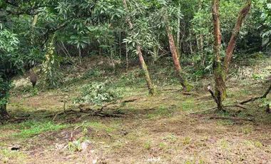 vendo 25.000 M2 Sub Urbano en Villavicencio