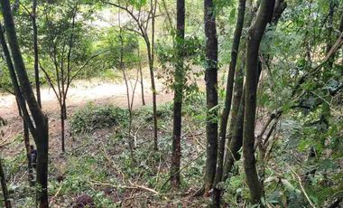 vendo 25.000 M2 Sub Urbano en Villavicencio