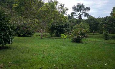 vendo 25.000 M2 Sub Urbano en Villavicencio