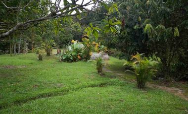 vendo 25.000 M2 Sub Urbano en Villavicencio