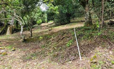 vendo 25.000 M2 Sub Urbano en Villavicencio