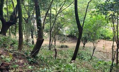 vendo 25.000 M2 Sub Urbano en Villavicencio