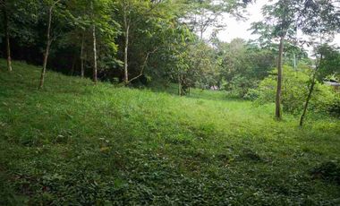 vendo 25.000 M2 Sub Urbano en Villavicencio