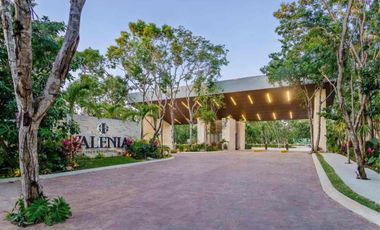 Remate Terreno Valenia