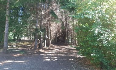 Hermosa parcela de 2,08 héct. c/casa hab. a 15 min. centro Temuco