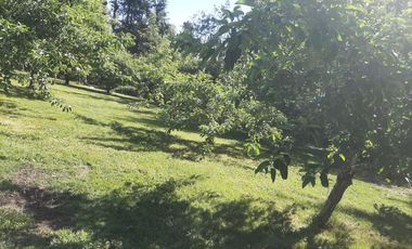 Hermosa parcela de 2,08 héct. c/casa hab. a 15 min. centro Temuco