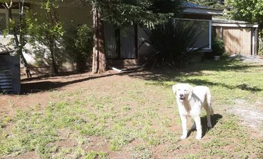 Hermosa parcela de 2,08 héct. c/casa hab. a 15 min. centro Temuco