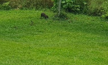 CASA CAMPESTRE EN ARRIENDO EN MONTELARGO