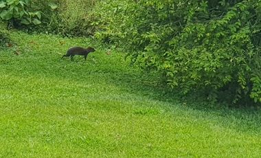 CASA CAMPESTRE EN ARRIENDO EN MONTELARGO